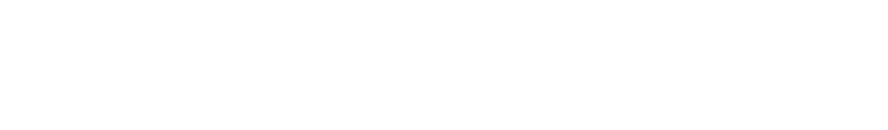 IC_0005_saas-1.png